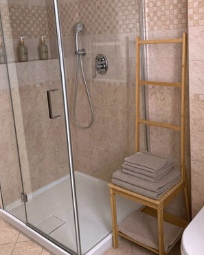 Shower, hair dryer, bidet, towels