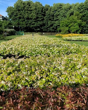 Parco della struttura