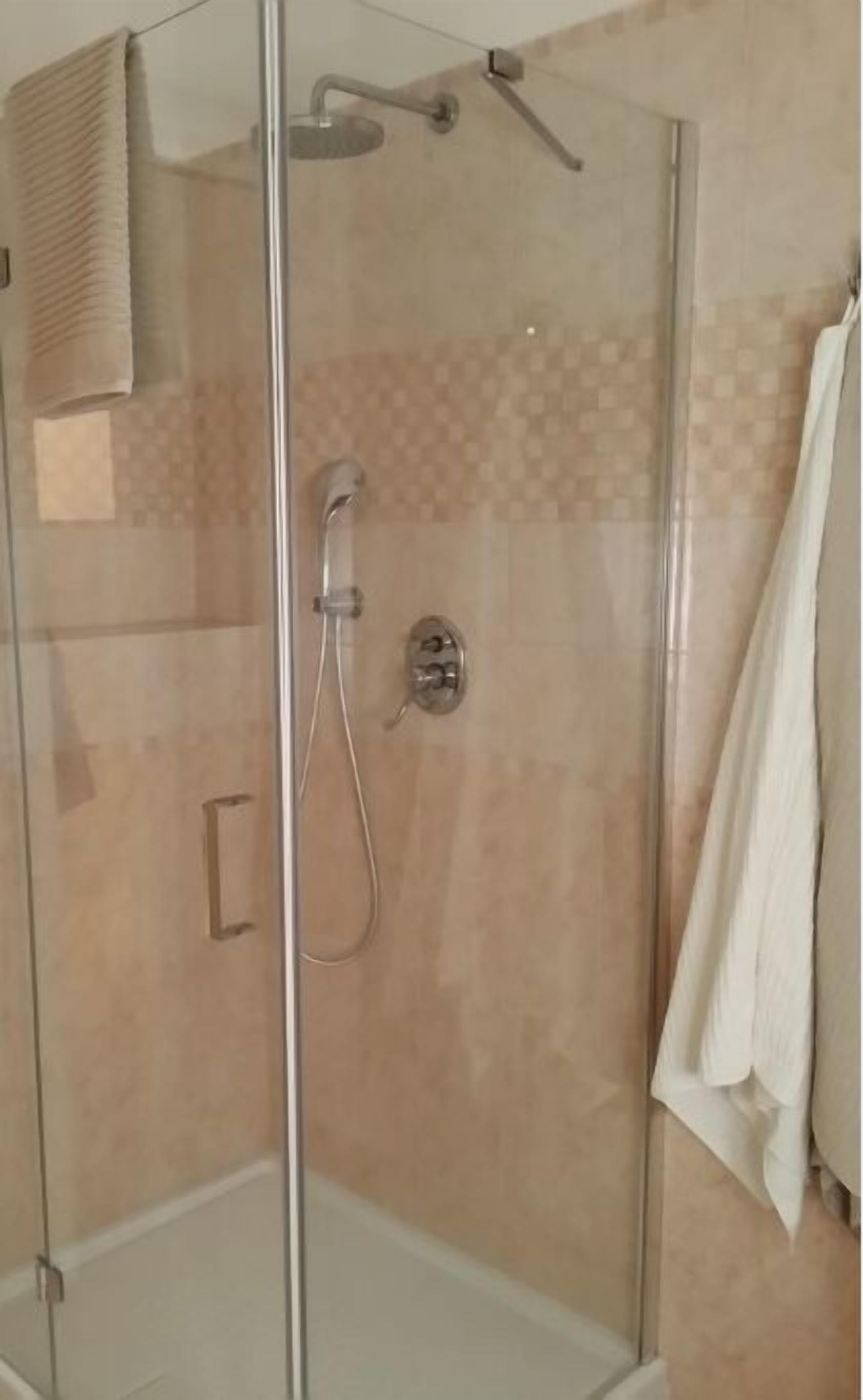 A glass-enclosed shower with a handheld showerhead and a wall-mounted control panel.
