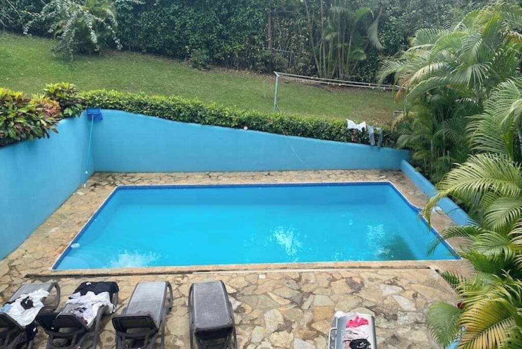 A rectangular pool with a stone border, surrounded by a blue wall and lush greenery.