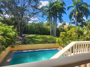 Una piscina con agua cristalina, rodeada de exuberante vegetación y palmeras.