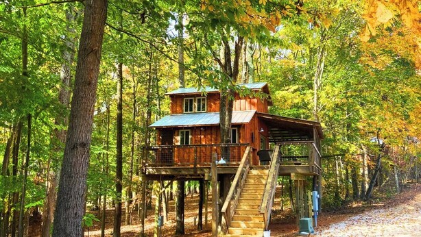 A wooden treehouse with a staircase leading up to it, surrounded by a forest. - Cherry Treesort “Traci’s Treasure” (Rowan County)