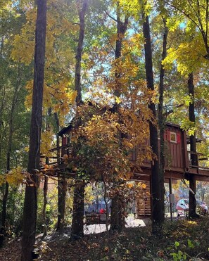 Exterior - Cherry Treesort "Chico's Hideaway" (Rowan County)