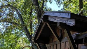 A wooden cabin with a red door and a wooden deck. - Cherry Treesort "Chico's Hideaway" (Rowan County)