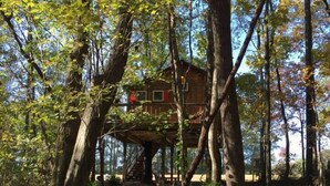 A treehouse elevated on stilts in a forest. - Cherry Treesort "Chico's Hideaway" (Rowan County)