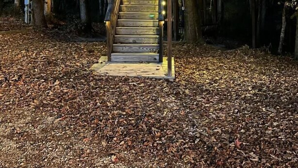A treehouse with a wooden staircase and a small deck, surrounded by trees and decorated with string lights. - Cherry Treesort "Chico's Hideaway" (Rowan County)