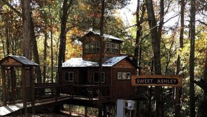 A cabin named Sweet Ashley surrounded by trees, with a fire pit and outdoor seating. - Cherry Treesort "Sweet Ashley" (Rowan County)