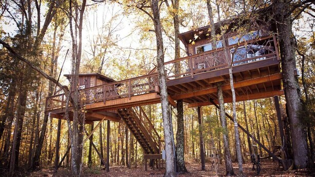 A wooden treehouse with a staircase, surrounded by a forest. - Cherry Treesort "Big Nick" (Rowan County)