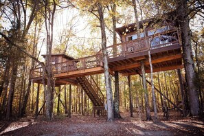 Une cabane en bois perchée dans un arbre, accessible par un escalier, et entourée d’une forêt.