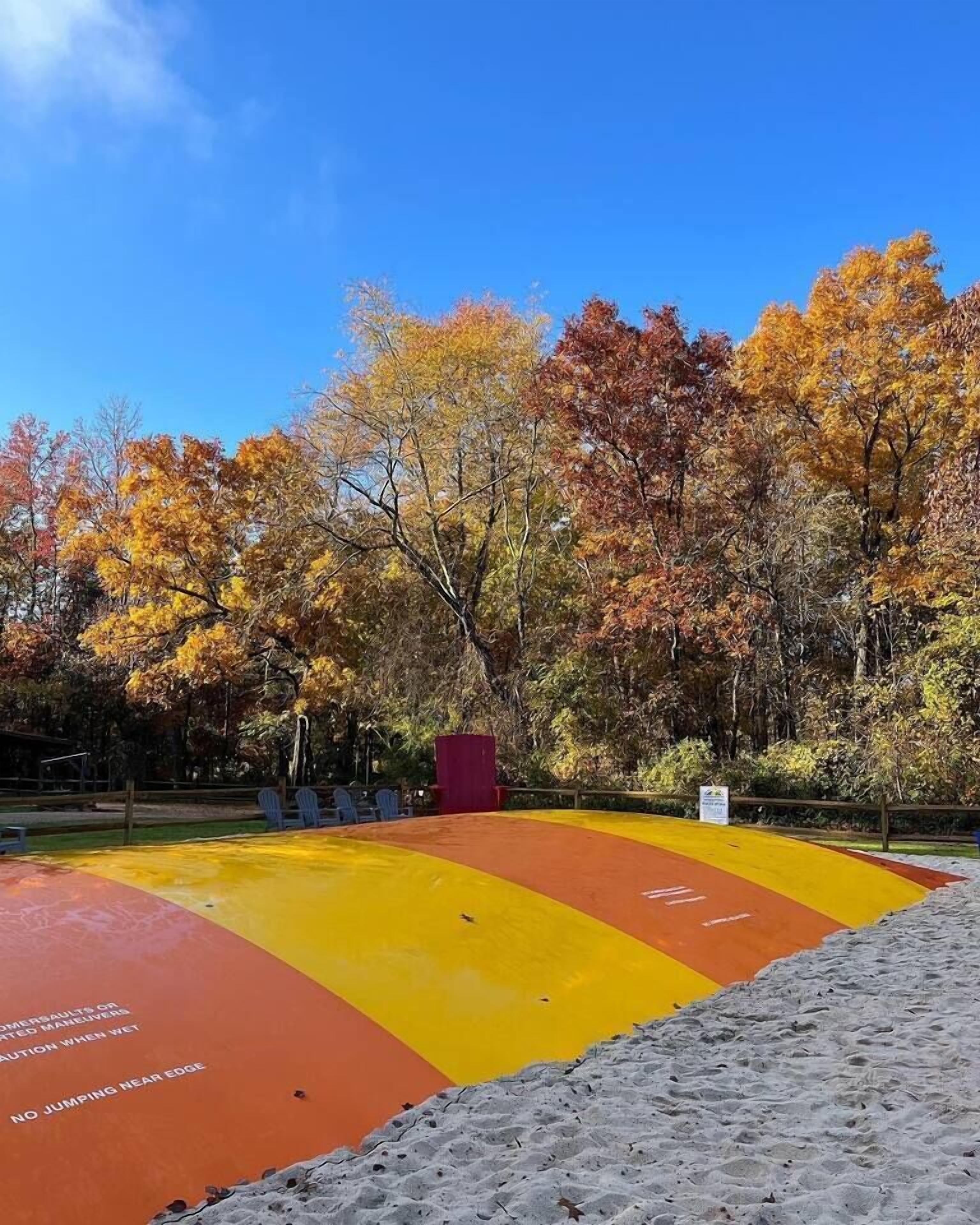 A playground with a yellow and orange surface, surrounded by trees with autumn foliage.