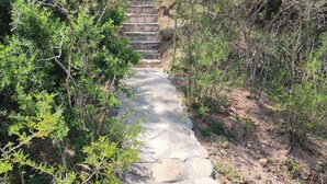 A stone staircase leading up a hill, surrounded by green shrubs and trees.