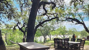 An outdoor seating area with a wooden table and chairs under a large tree.
