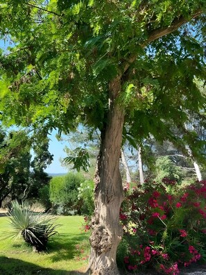 Jardines del alojamiento
