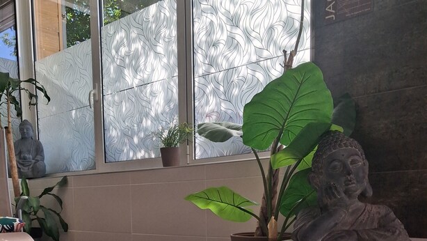 A hot tub area with a Buddha statue, potted plants, and a tiled wall. - MOBIL HOME LOUPIOTS 4/6 PERS. (Besse-et-Saint-Anastaise)