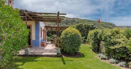 Beachfront Recluse by Cadenzalux