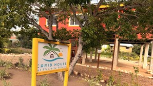 Señalización para 'Carib House at Placencia Village', con una palmera y un icono de casa.