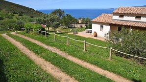 Un paysage rural avec un chemin de terre menant à un bâtiment blanc doté d’un toit en tuiles, entouré de verdure et offrant une vue sur la mer.