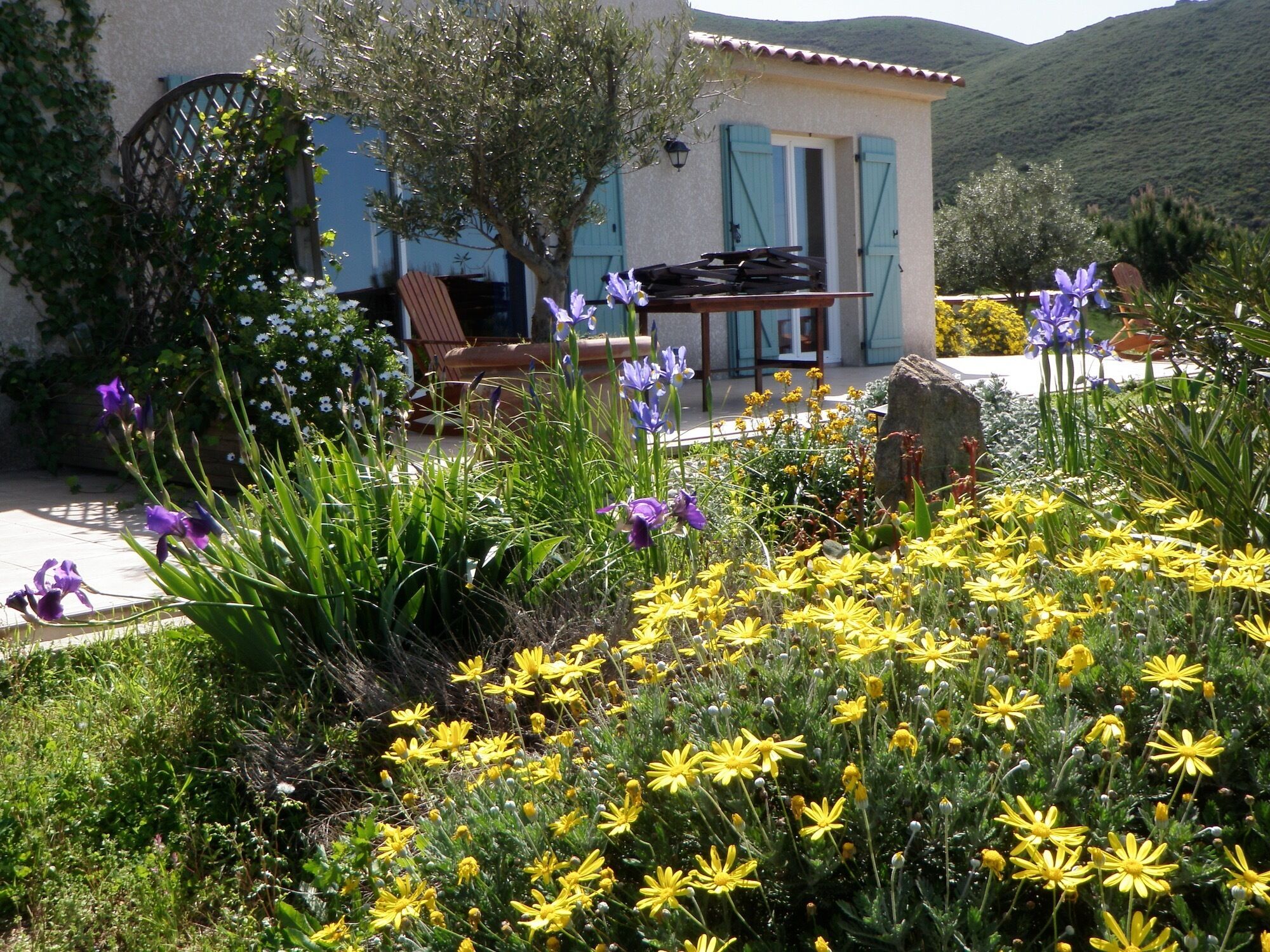 Uma casa com varanda, rodeada por um jardim com flores amarelas e íris roxas.