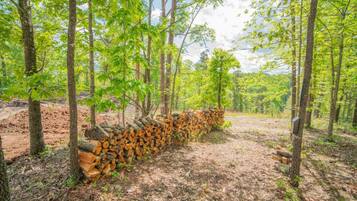 A forested area with a stack of firewood and a stone wall.