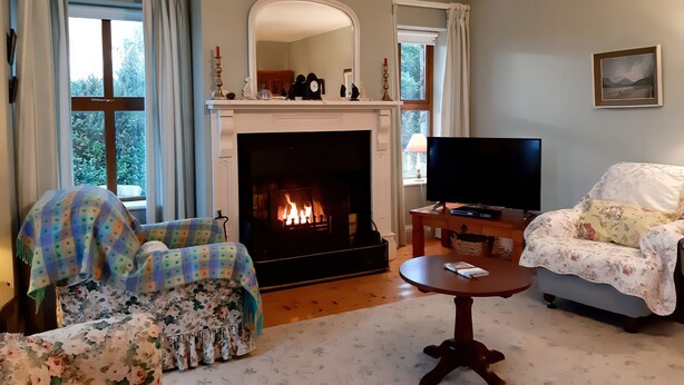 Una sala de estar con chimenea, televisor y dos sillones.