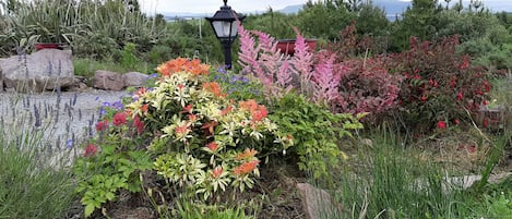 A garden with various plants and a black lamp post.