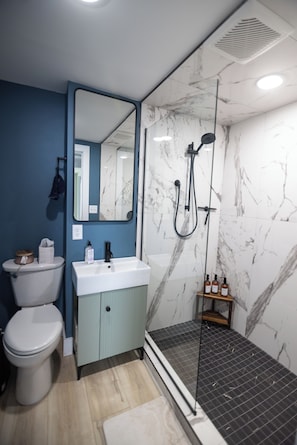 Shower, hair dryer, towels, soap