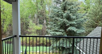 Fly Fish, Hike, Bike, Nightlife! Amazing 3 bedroom condo on Eagle River-Edwards!