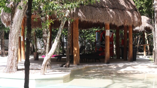 Pool - Aura de Selva (Puerto Morelos)