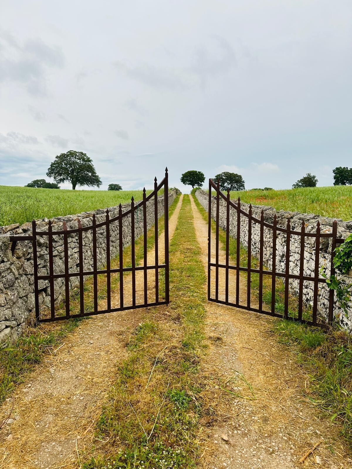 Paisagem rural com muro de pedra e portão de metal que dá para uma trilha de terra.