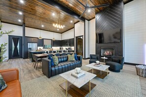 TV, fireplace, video games, books