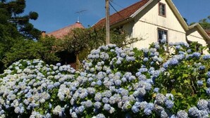 A house with a red roof, surrounded by lush greenery and hydrangea bushes. - Parador Hampel (Sao Francisco de Paula)