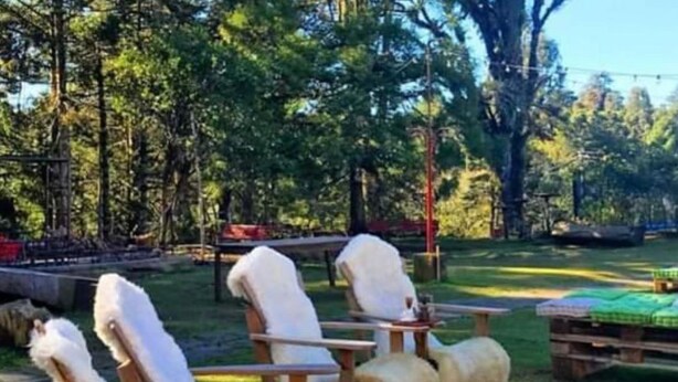 Outdoor seating with chairs and tables, surrounded by trees and a grassy area. - Parador Hampel (Sao Francisco de Paula)