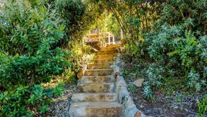 A stone staircase leading to a wooden structure in a lush, green environment.