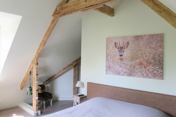 Plafond cathédrale et poutres apparentes. Vue sur l'Abbaye du Mont des Cats.