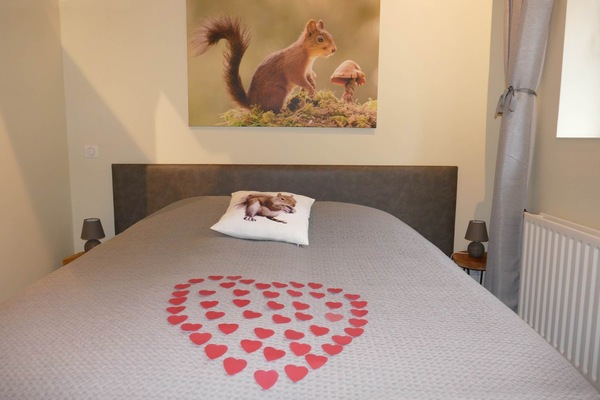 P1060425Plafond cathédrale et poutres apparentes. Vue sur le Bois où les Écureuils viennent jouer à cache-cache.