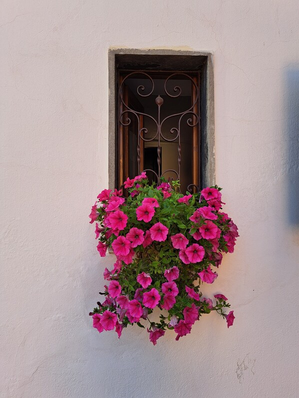 A window with a wrought iron grill and a hanging flower basket with pink flowers.