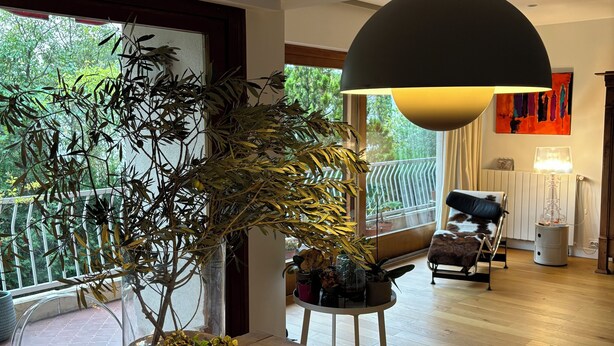 A modern living room with a large potted plant, a leather sofa, and a round coffee table.