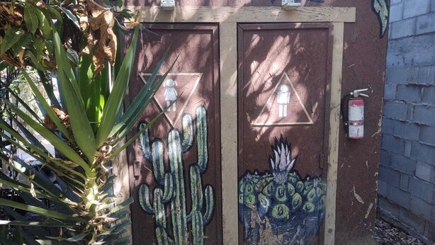 A wooden door with graffiti art, a fire extinguisher, and a cactus plant. - HOUSE OF ANCESTRAL MEDICINES AND MASTER PLANTS (tijuana)