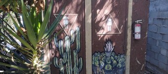 HOUSE OF ANCESTRAL MEDICINES AND MASTER PLANTS