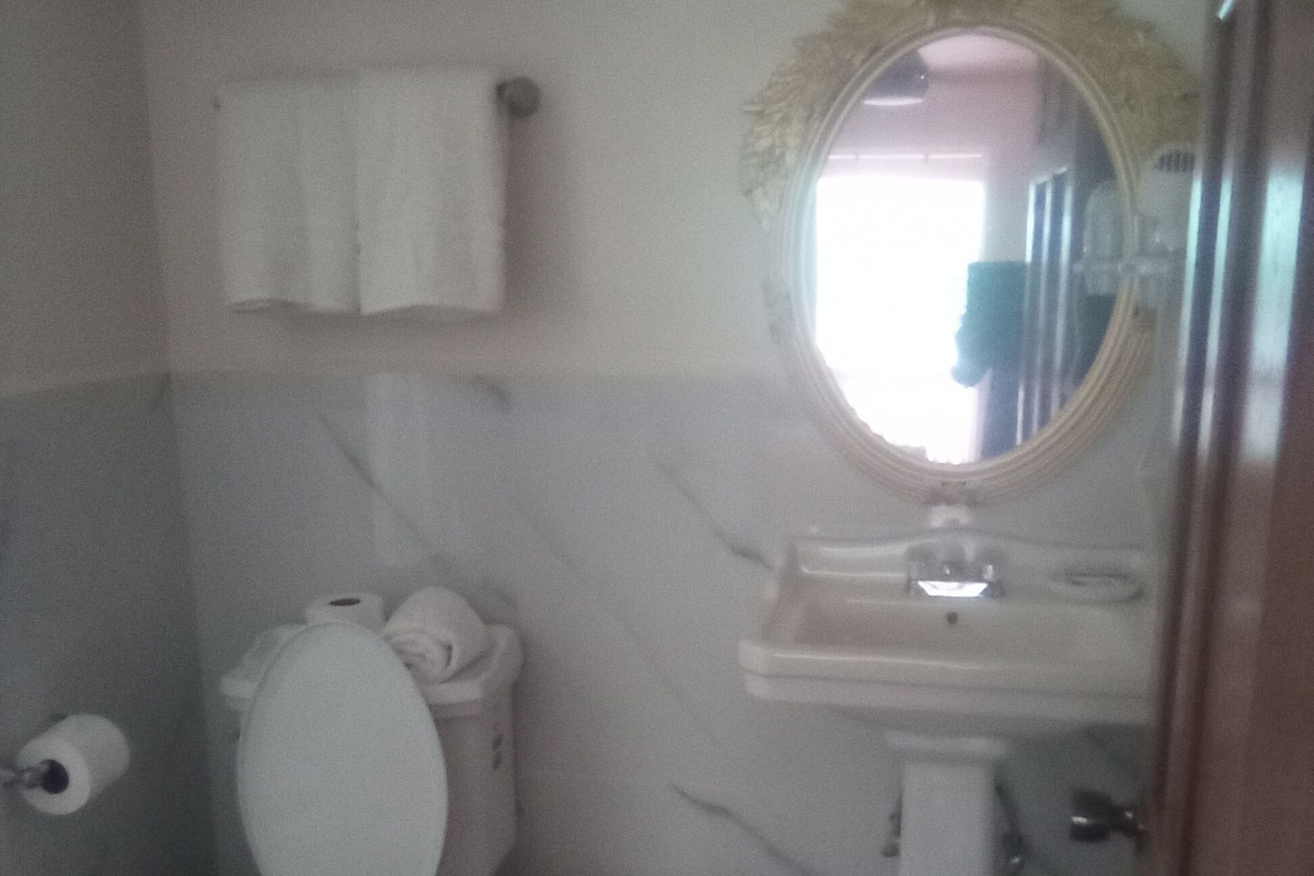 A bathroom with a toilet, sink, and mirror. There is a towel rack above the toilet and a trash bin next to it.
