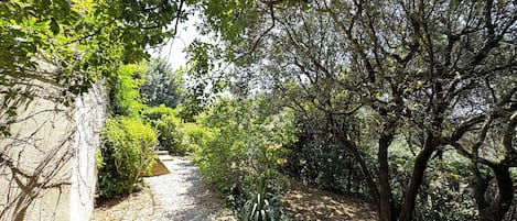 Boendeområde
