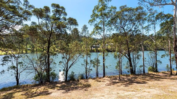 A lakeside view with trees and a clear sky.