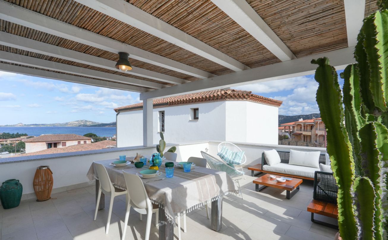 A terrace with a table set for dining, a sofa, and a cactus plant.