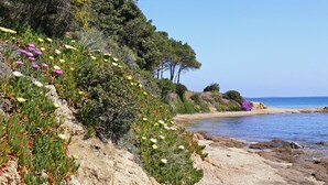 Unclassified image, 4 of 9, button - Cannigione | Dolce vita house terrazzo e vista (Cannigione)
