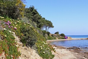 Plage