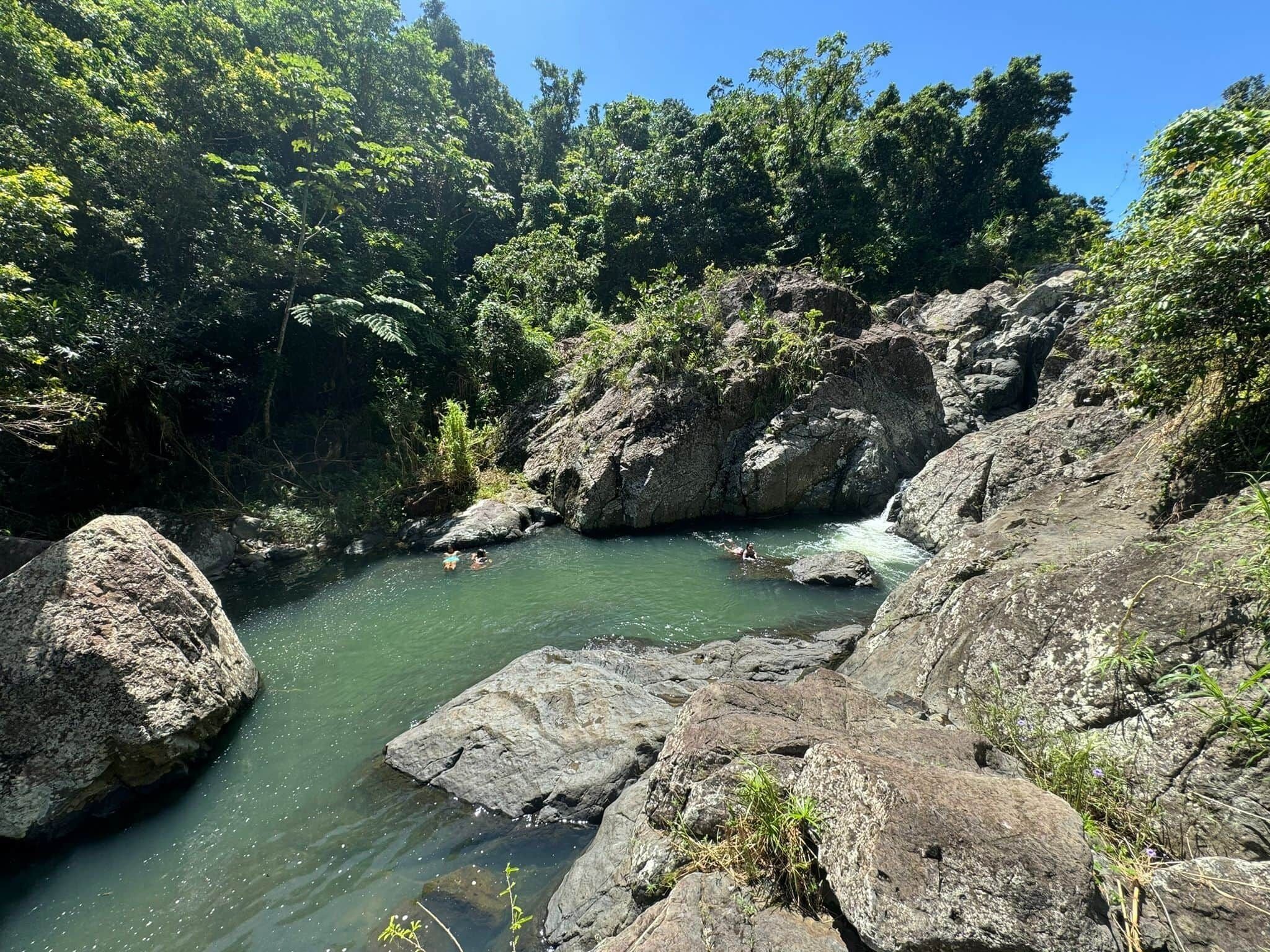 A natural rocky landscape with a clear water stream surrounded by dense greenery.