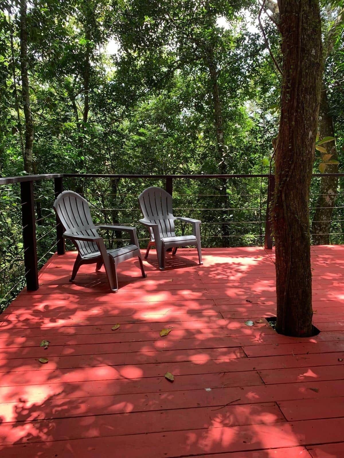 A wooden deck with two Adirondack chairs and a metal railing, surrounded by lush greenery.
