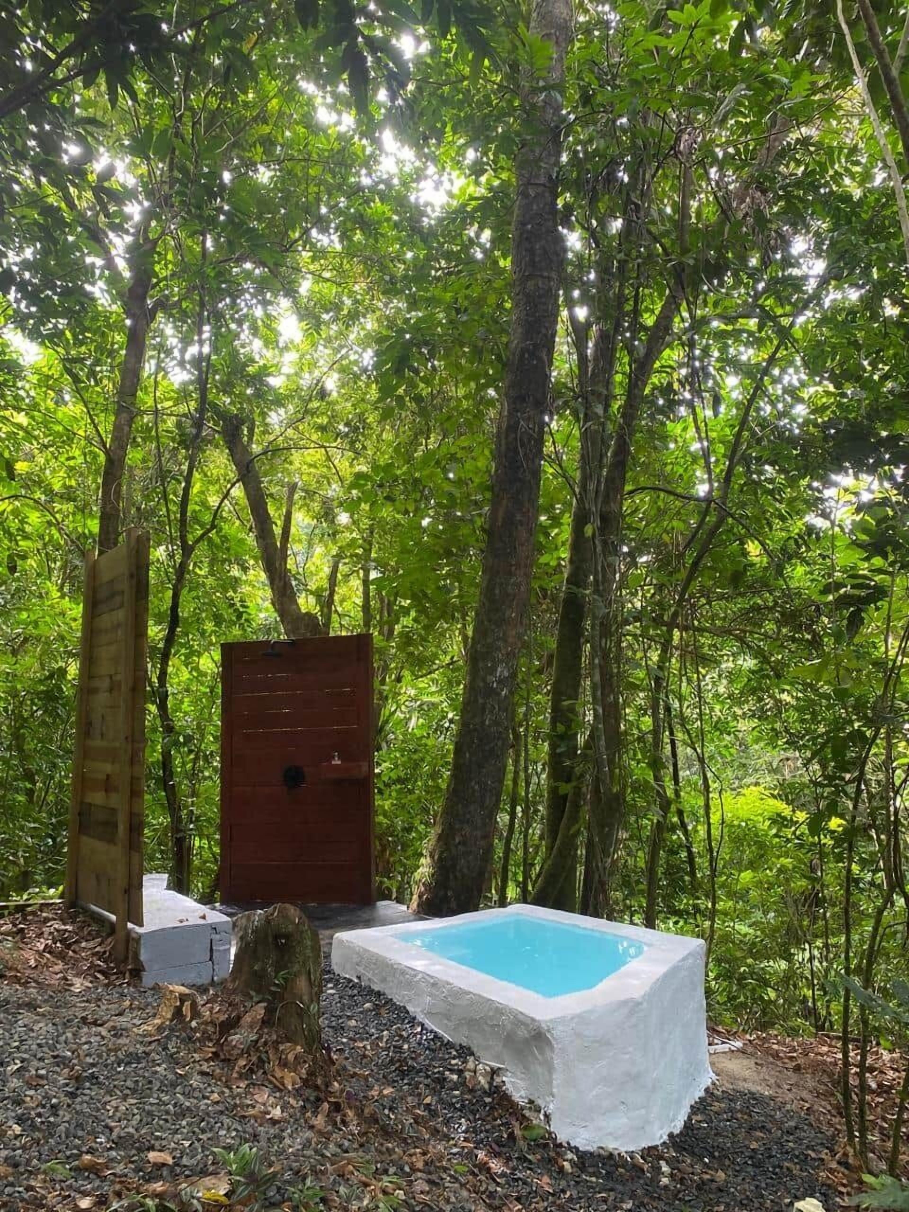 A wooden cabin with a small pool in a forested area.