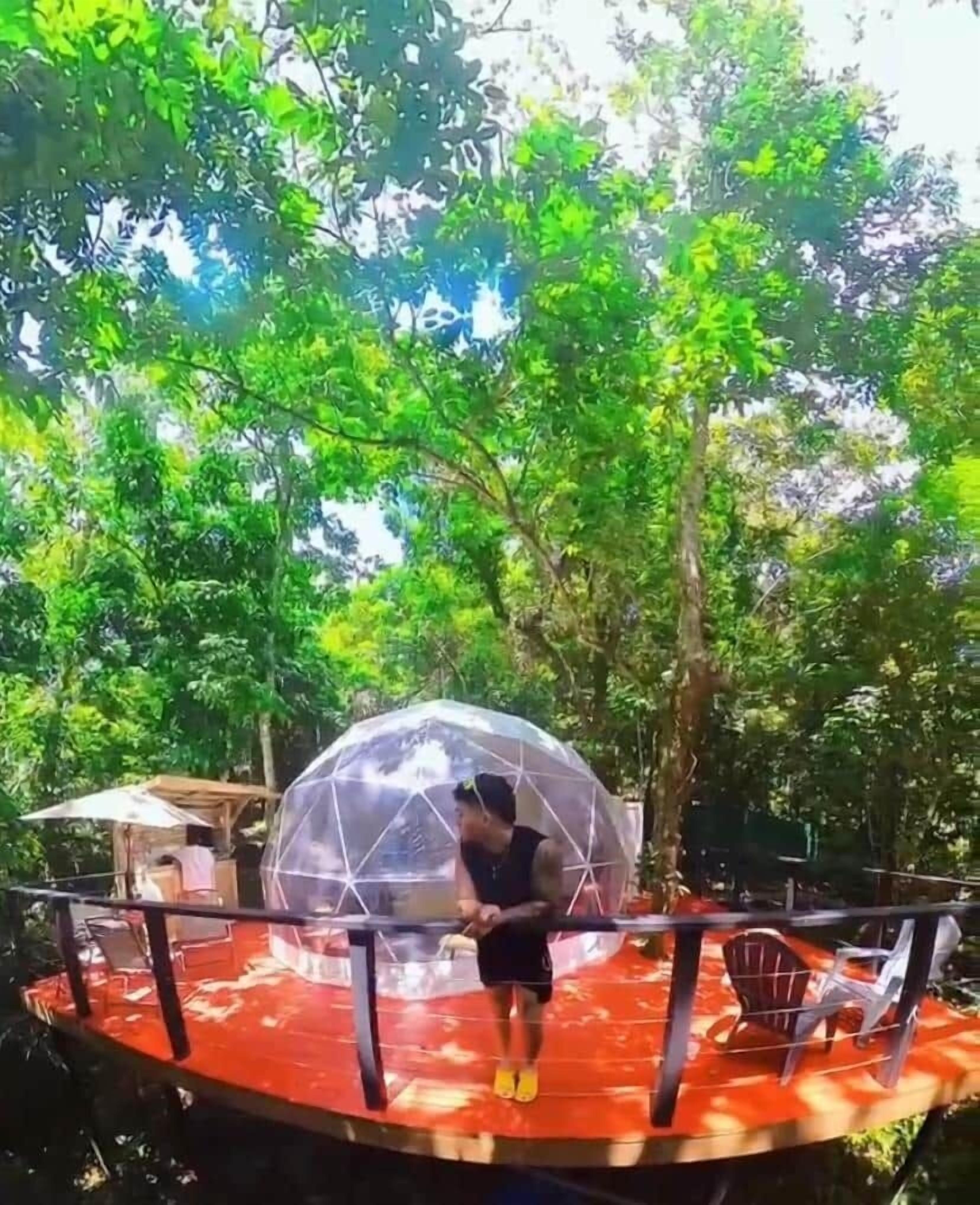 A transparent dome structure in a forested area with a red platform and metal railings.