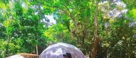 A transparent dome structure in a forested area with a red platform and metal railings.
